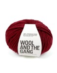 CRAZY SEXY WOOL - bordeaux