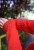 IMG_7462.jpeg