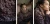 DeepRoots2_StrandsOfJoy.jpg.webp