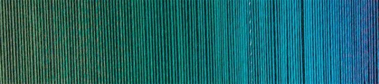 2360 zaub a_600x600@2x.jpg